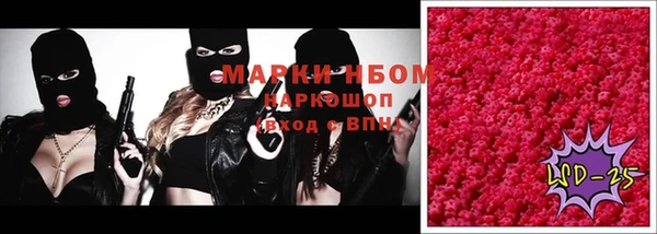 гидра Аркадак