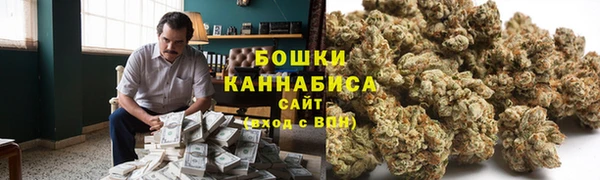 гидра Аркадак