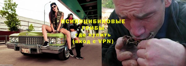 гидра Аркадак