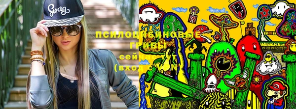 первитин Арсеньев